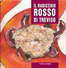 526n_316_radicchio_rosso_treviso