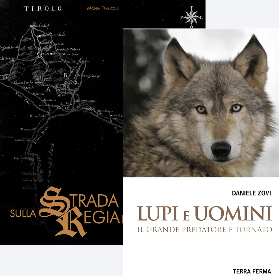 Strada_Lupi