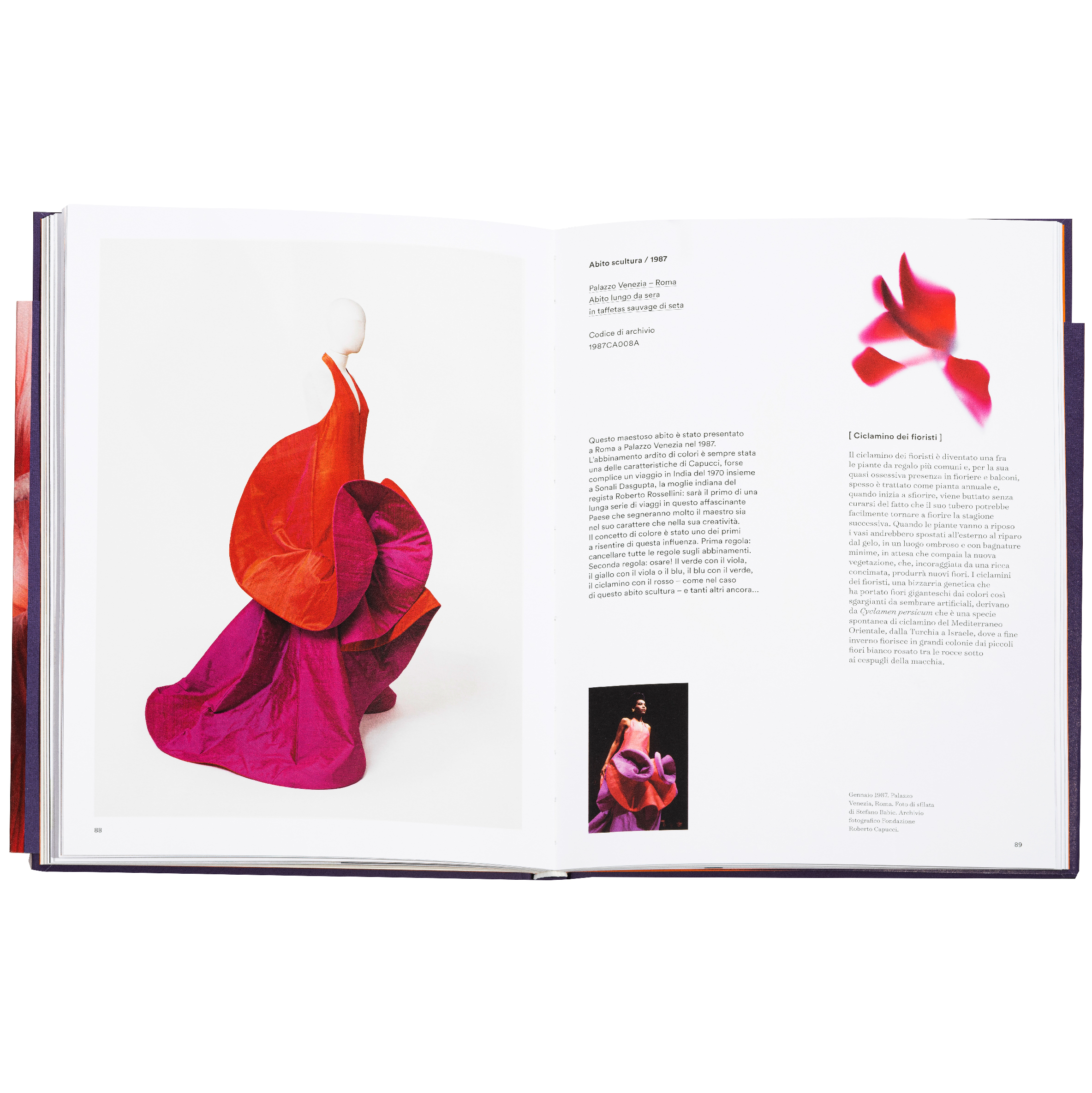 L'Atelier dei Fiori - Pagine Interne