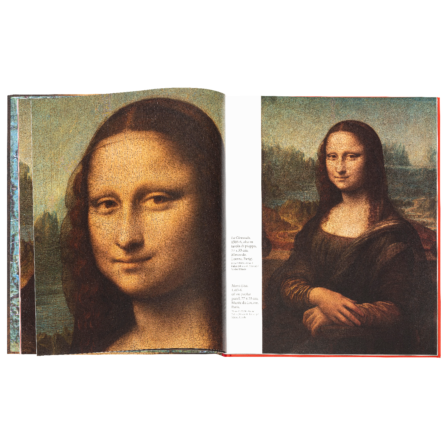 Leonardo da Vinci. Firme e Date Celate nella Gioconda - Pagine Interne