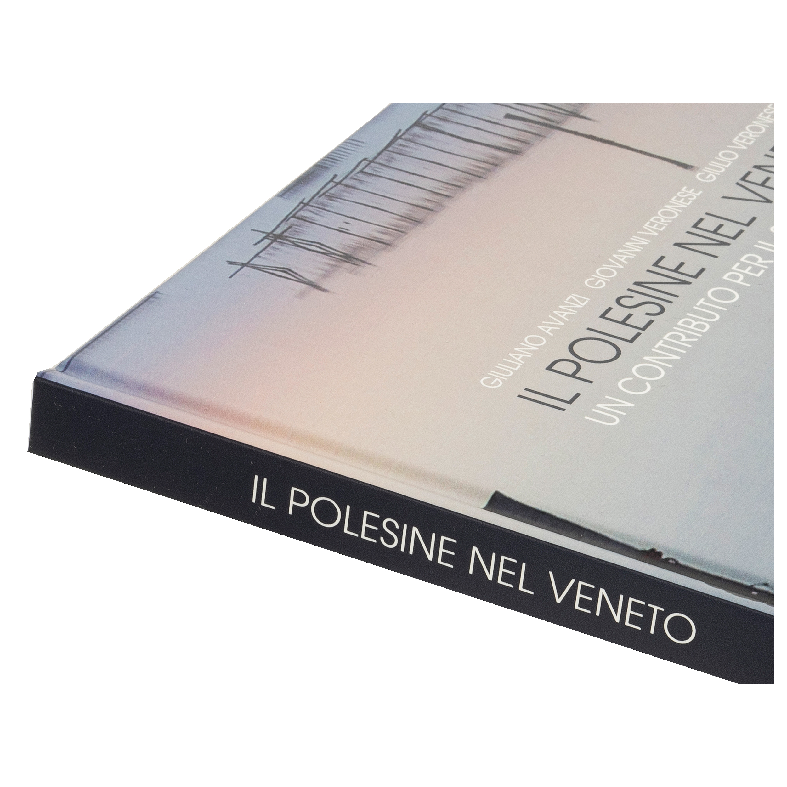 Il Polesine nel Veneto - Dettaglio