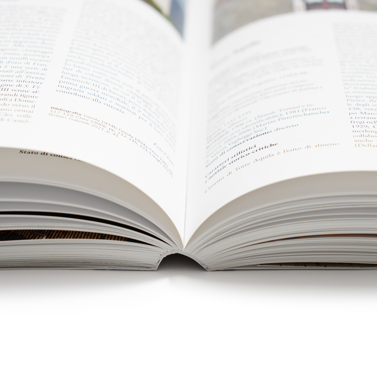 TrentoDipinta-1-fondobianco