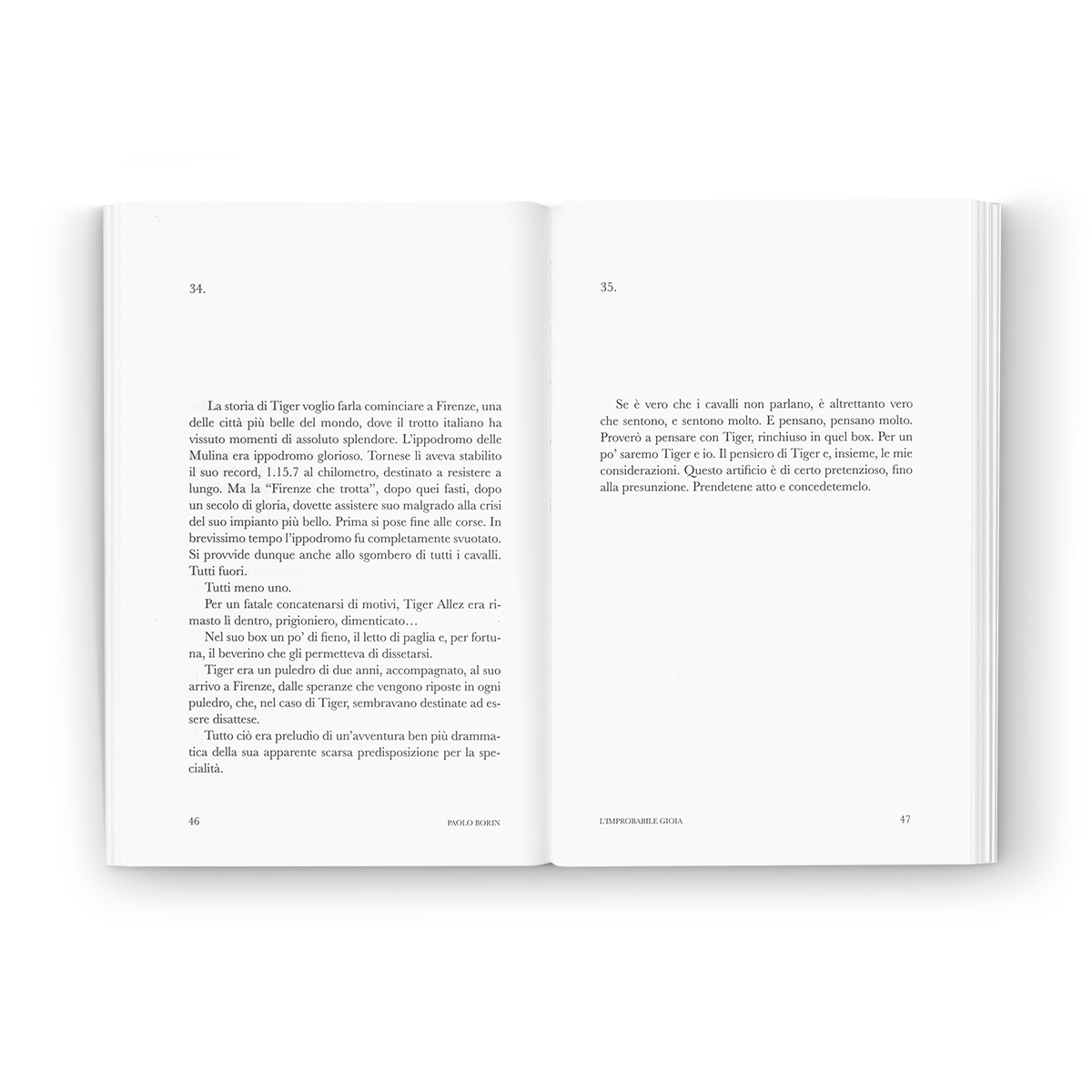 ImprobabileGioia-interno1-bianco