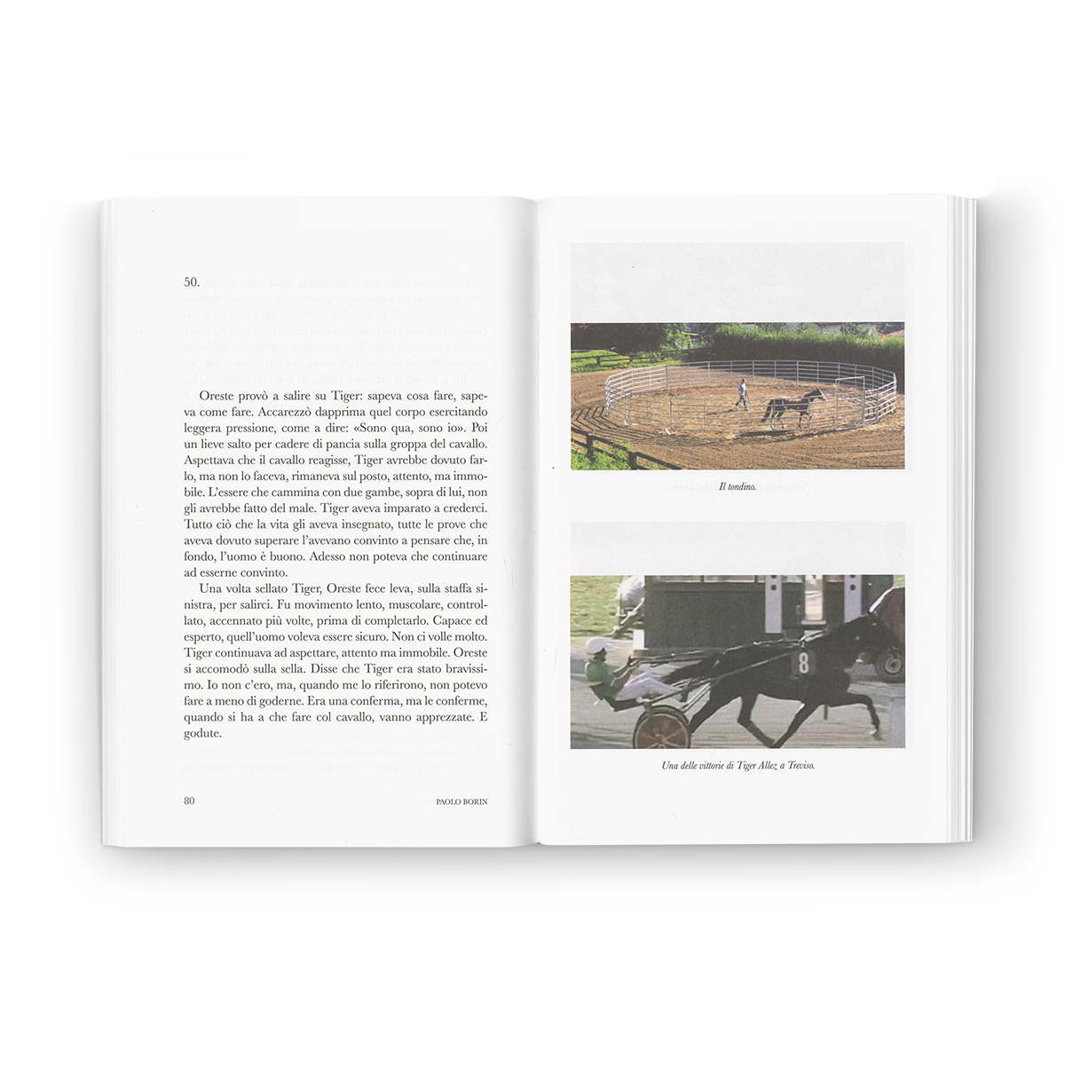 ImprobabileGioia-interno2-bianco