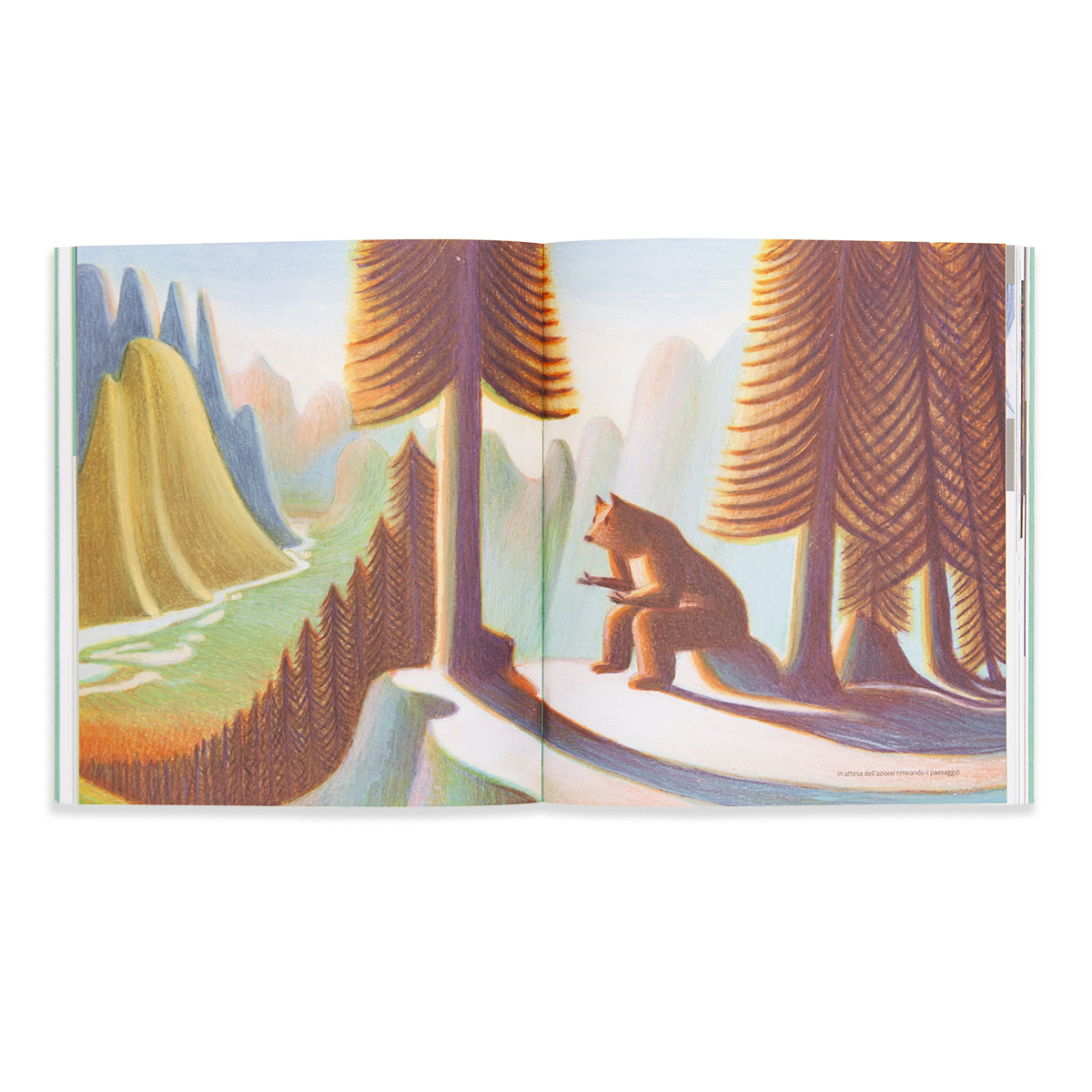 _DSC0034_fondo_bianco