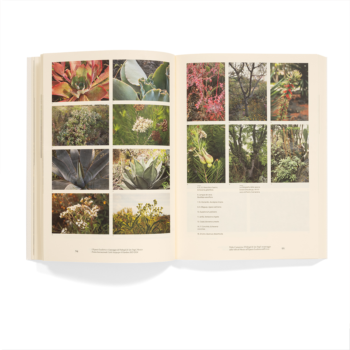 1104_Premio_Scarpa_2