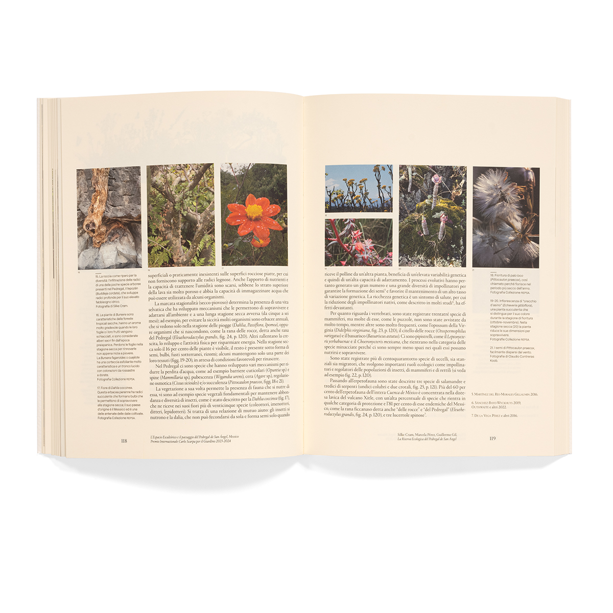 1104_Premio_Scarpa_3