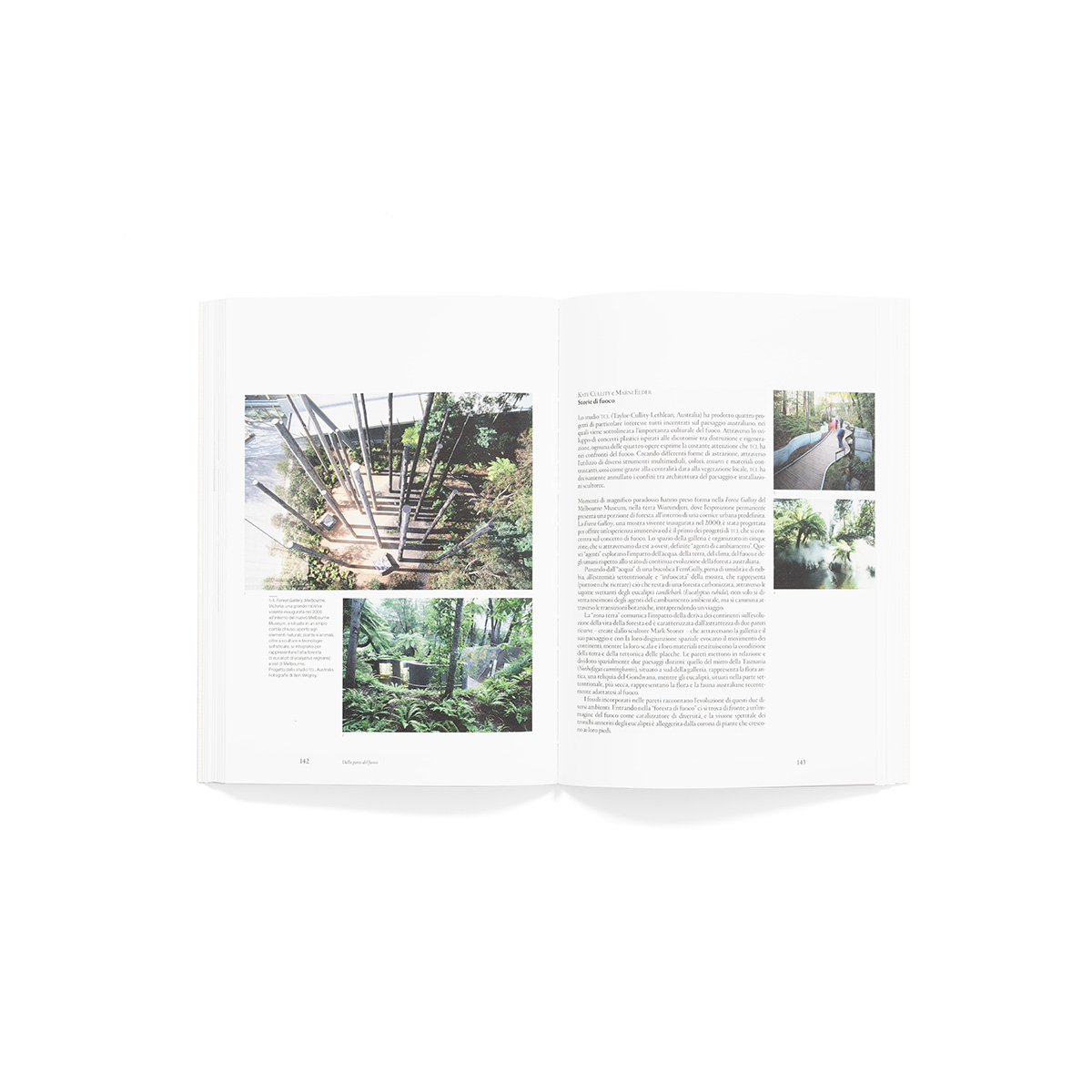 dallapartedelfuoco_fondobianco_09