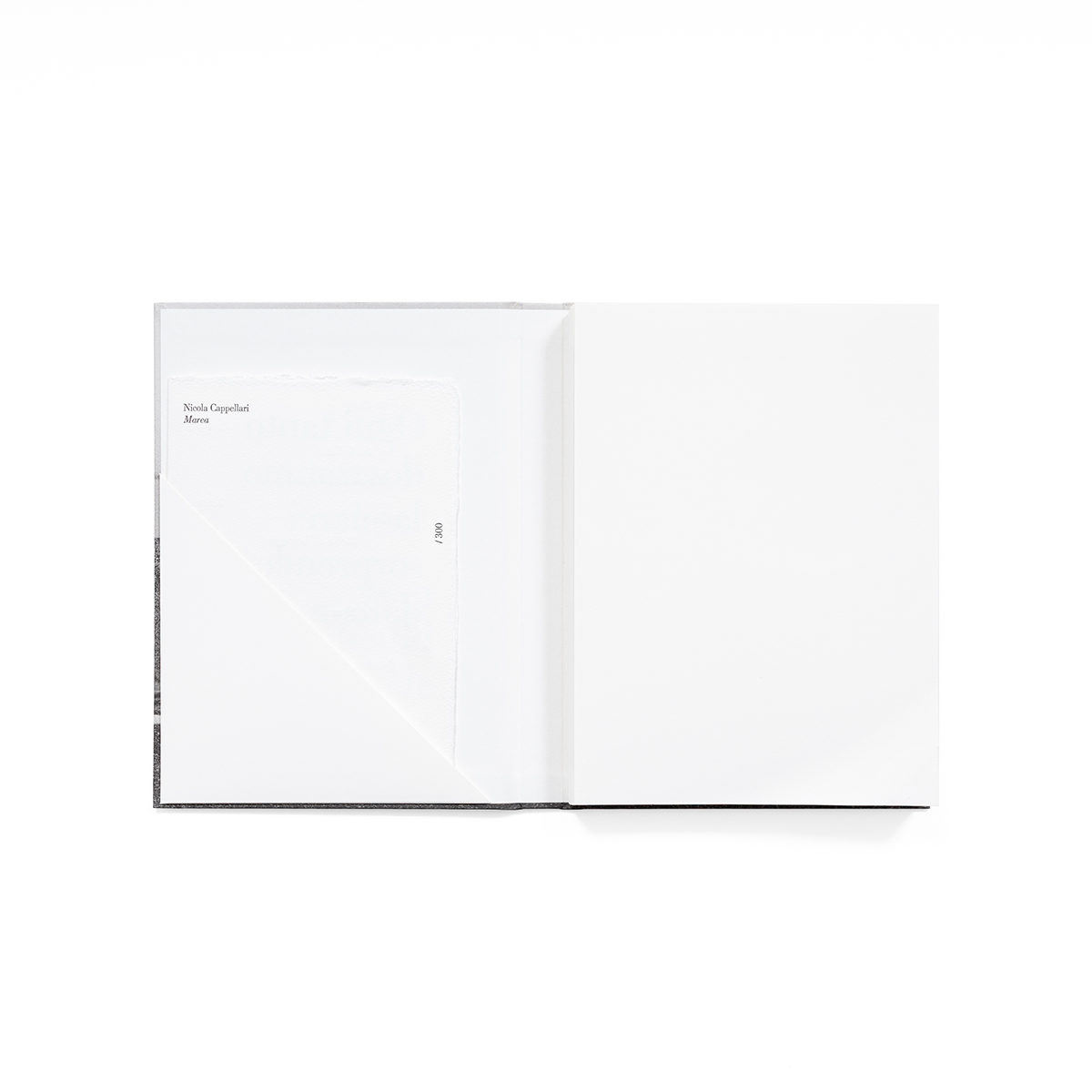 Marea_fondobianco_02