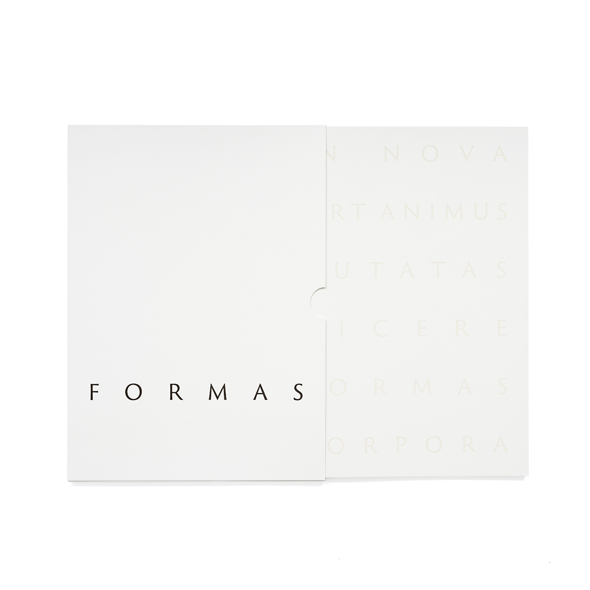 formas_fondobianco_02