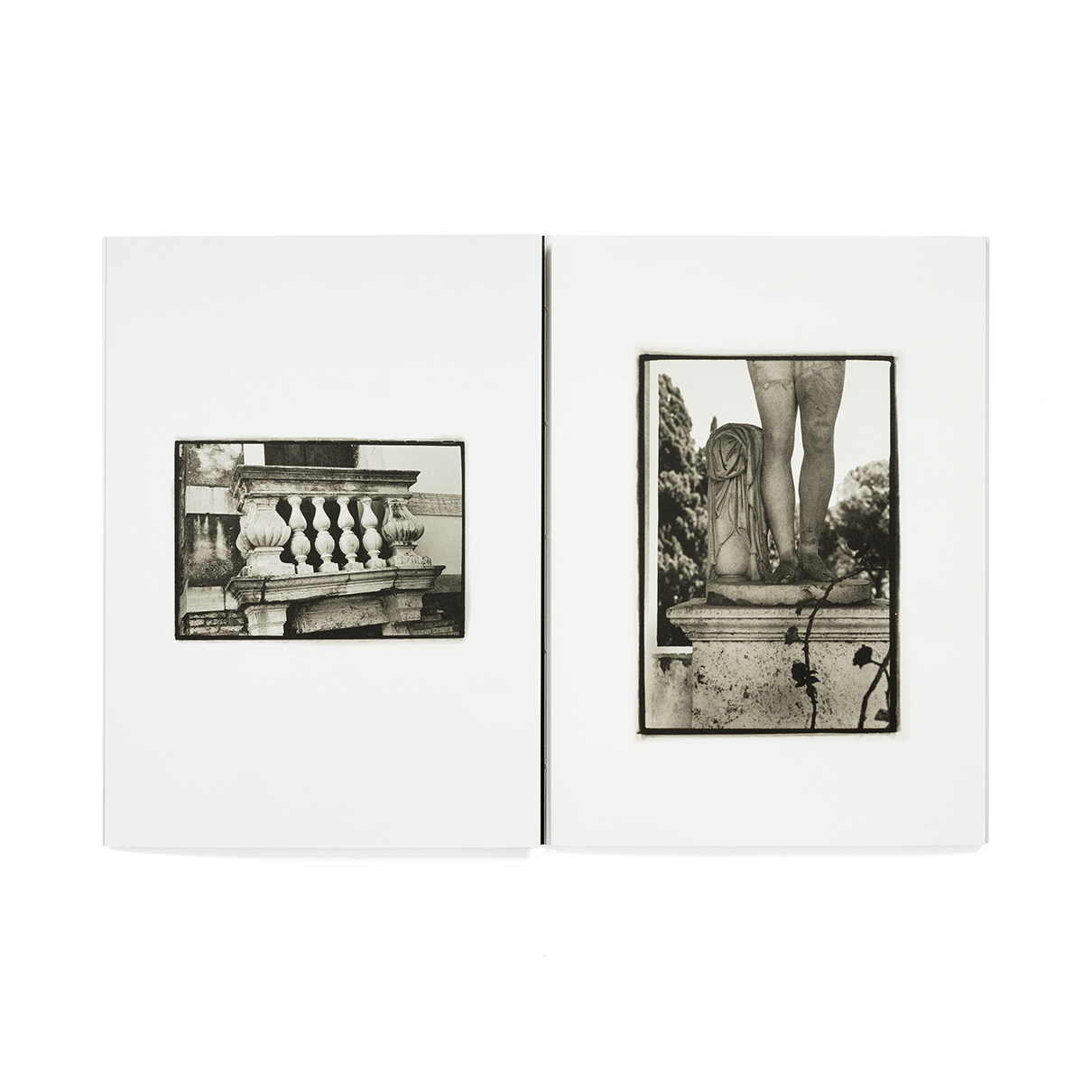 formas_fondobianco_04