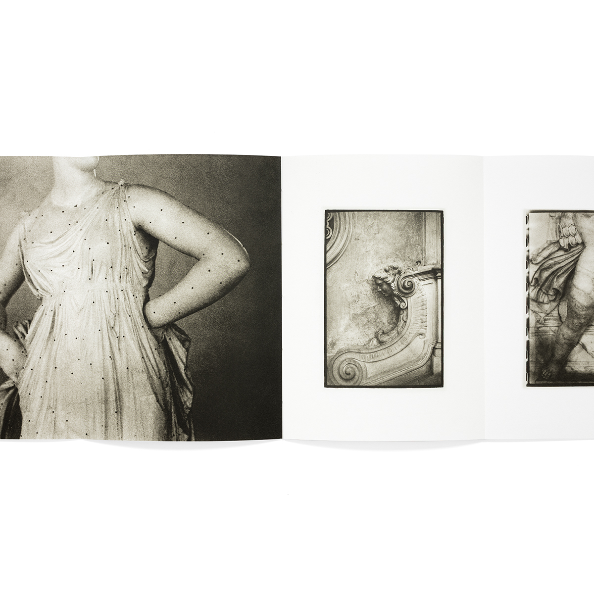 formas_fondobianco_05