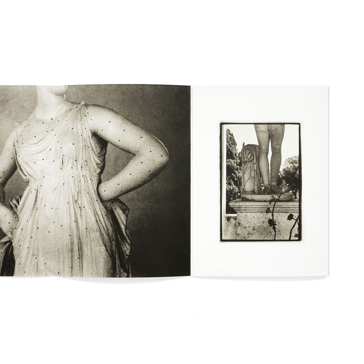 formas_fondobianco_06