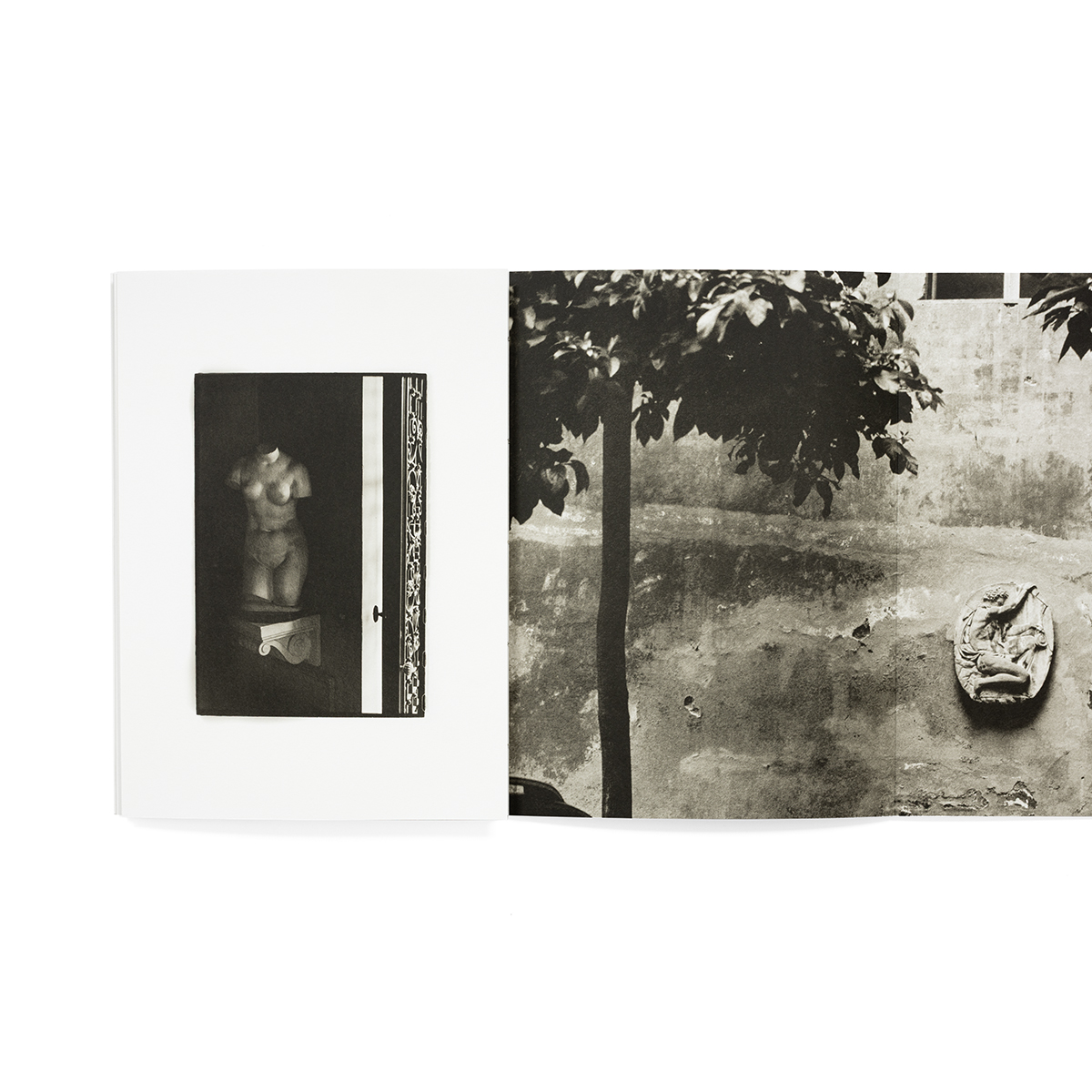 formas_fondobianco_07