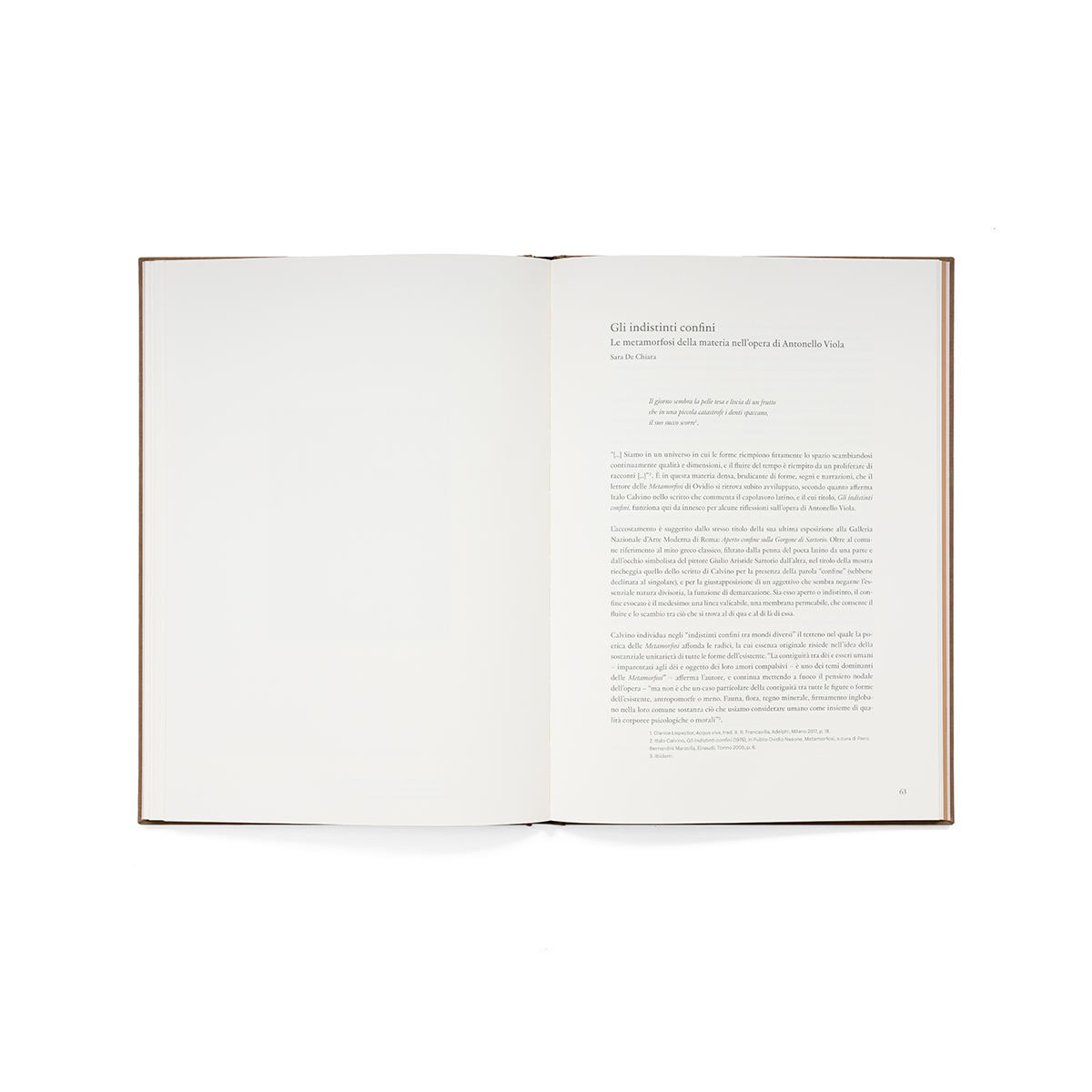 L'orodellalaguna_fondobianco_07