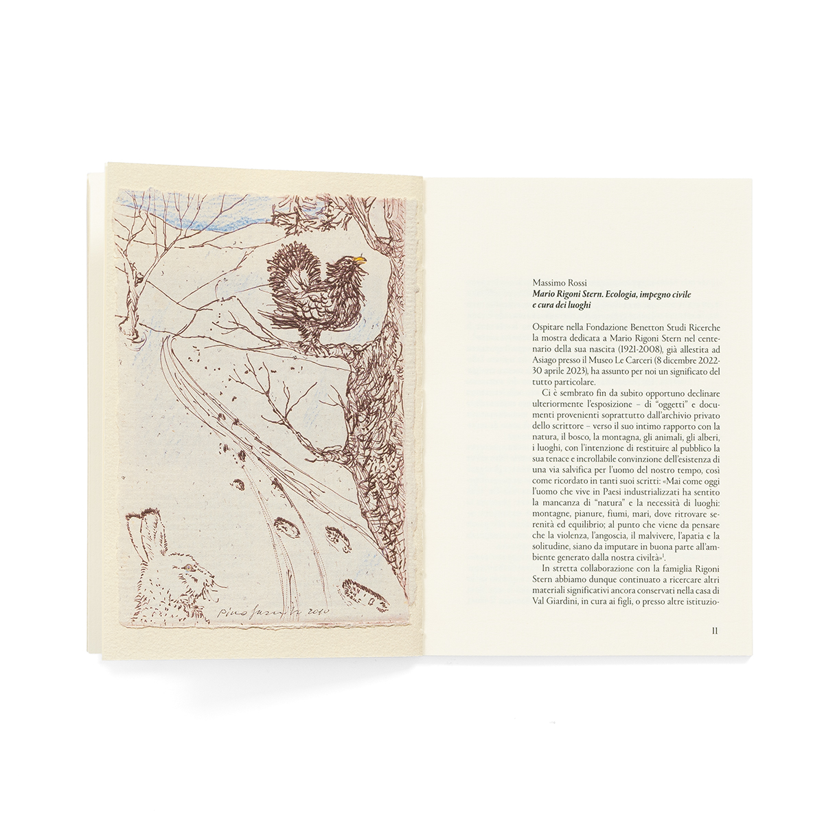 Mariorigonistern_fondobianco_03