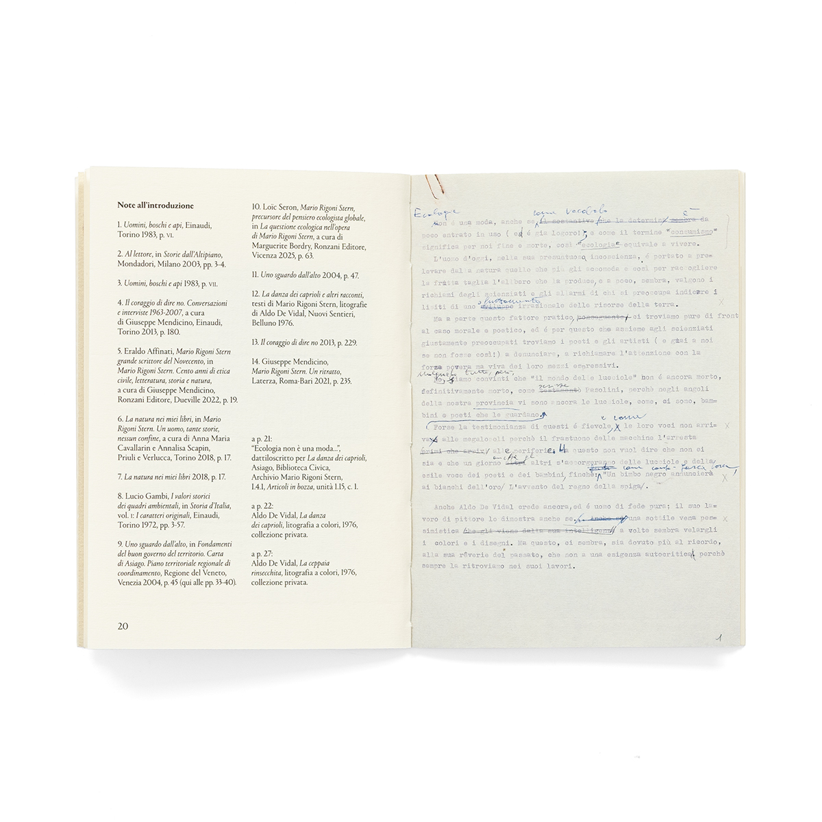 Mariorigonistern_fondobianco_04