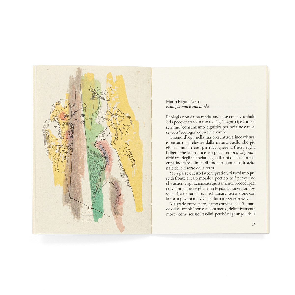 Mariorigonistern_fondobianco_05