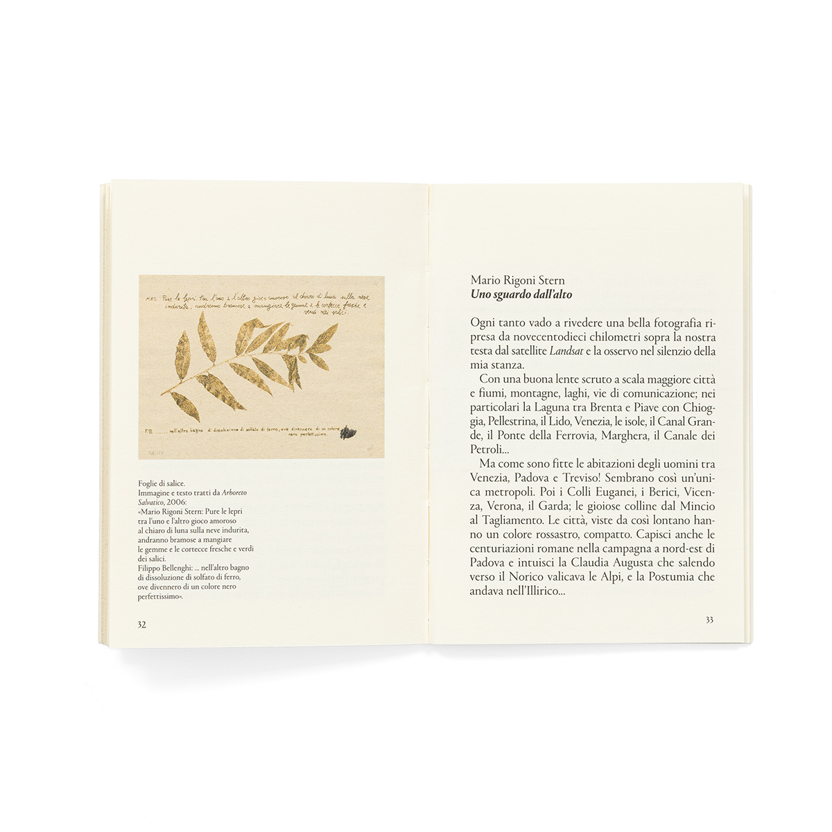 Mariorigonistern_fondobianco_06