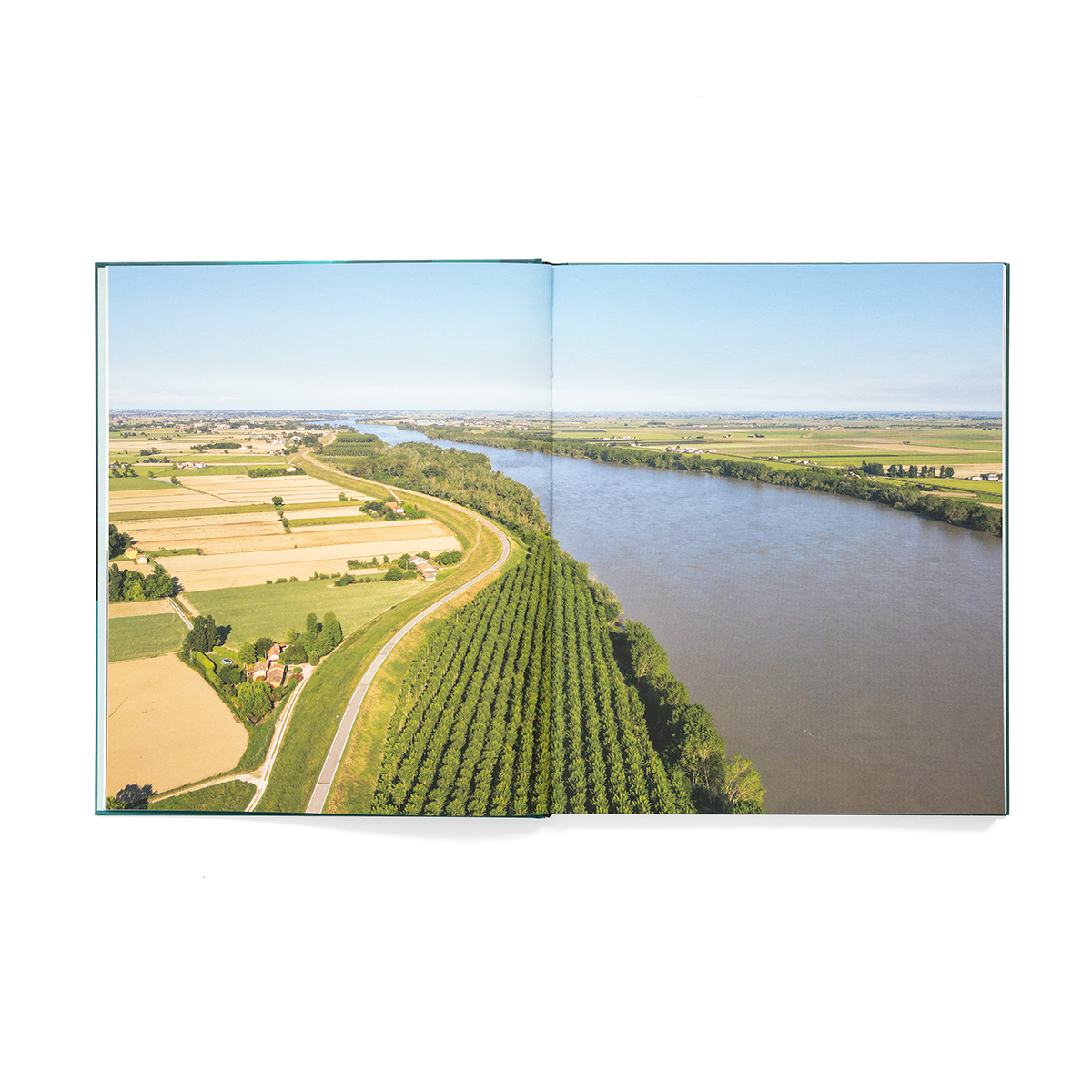 Cibotto_fondobianco_03