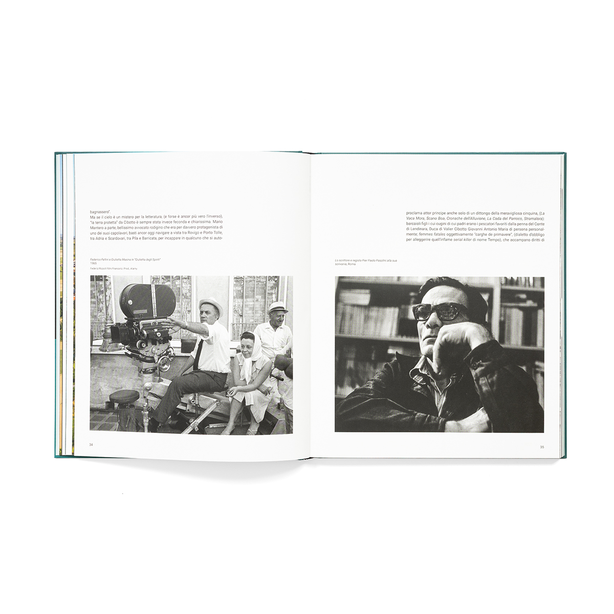 Cibotto_fondobianco_04