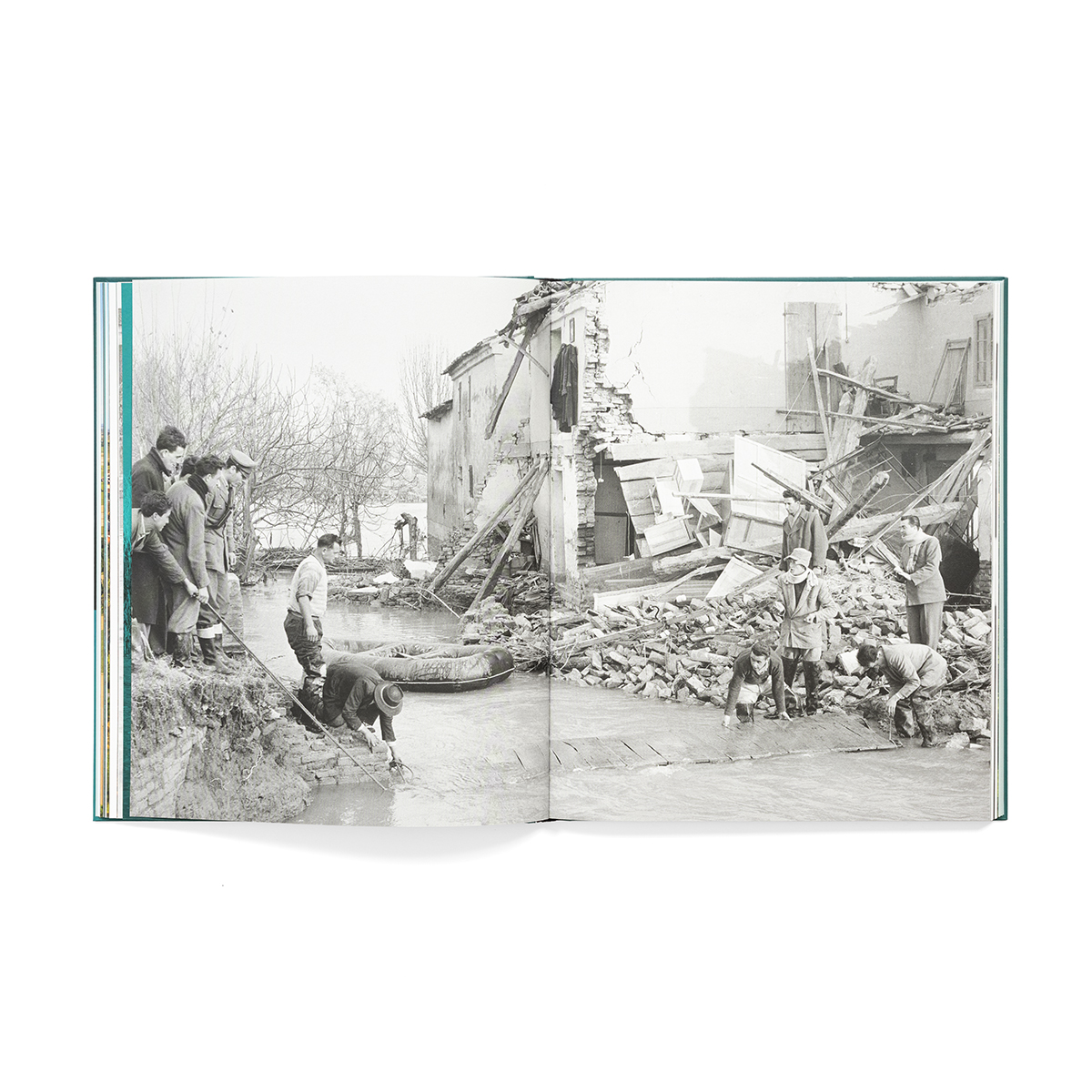 Cibotto_fondobianco_06