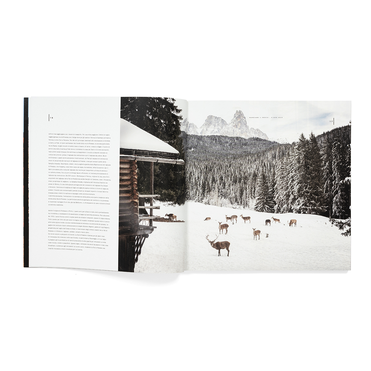 MANCATITOLO_fondobianco_03