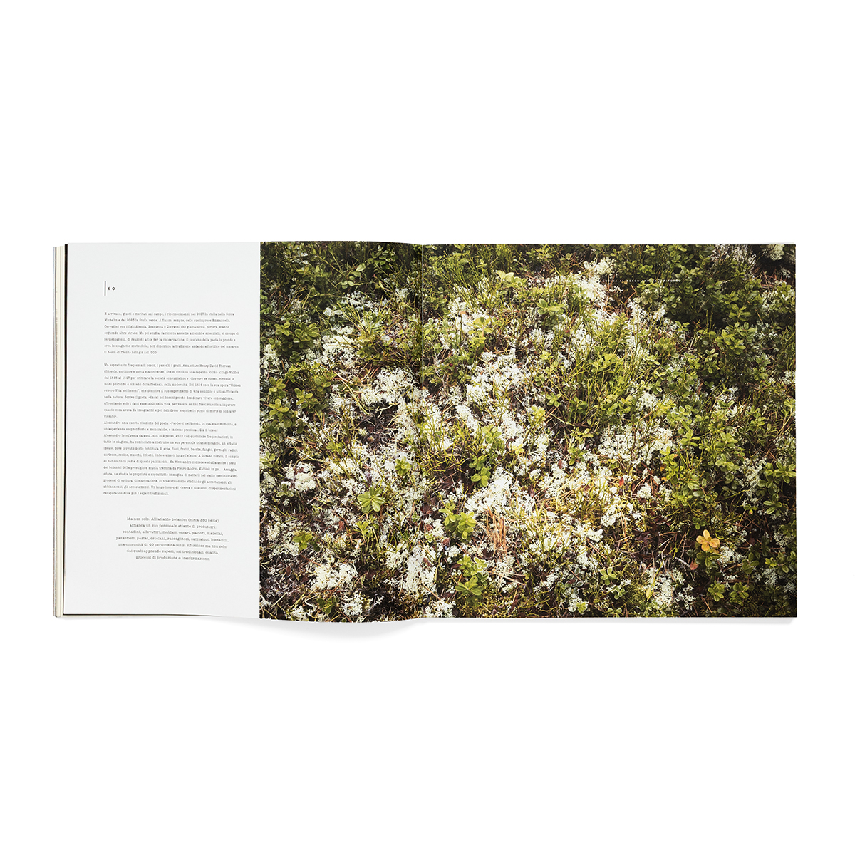 MANCATITOLO_fondobianco_07