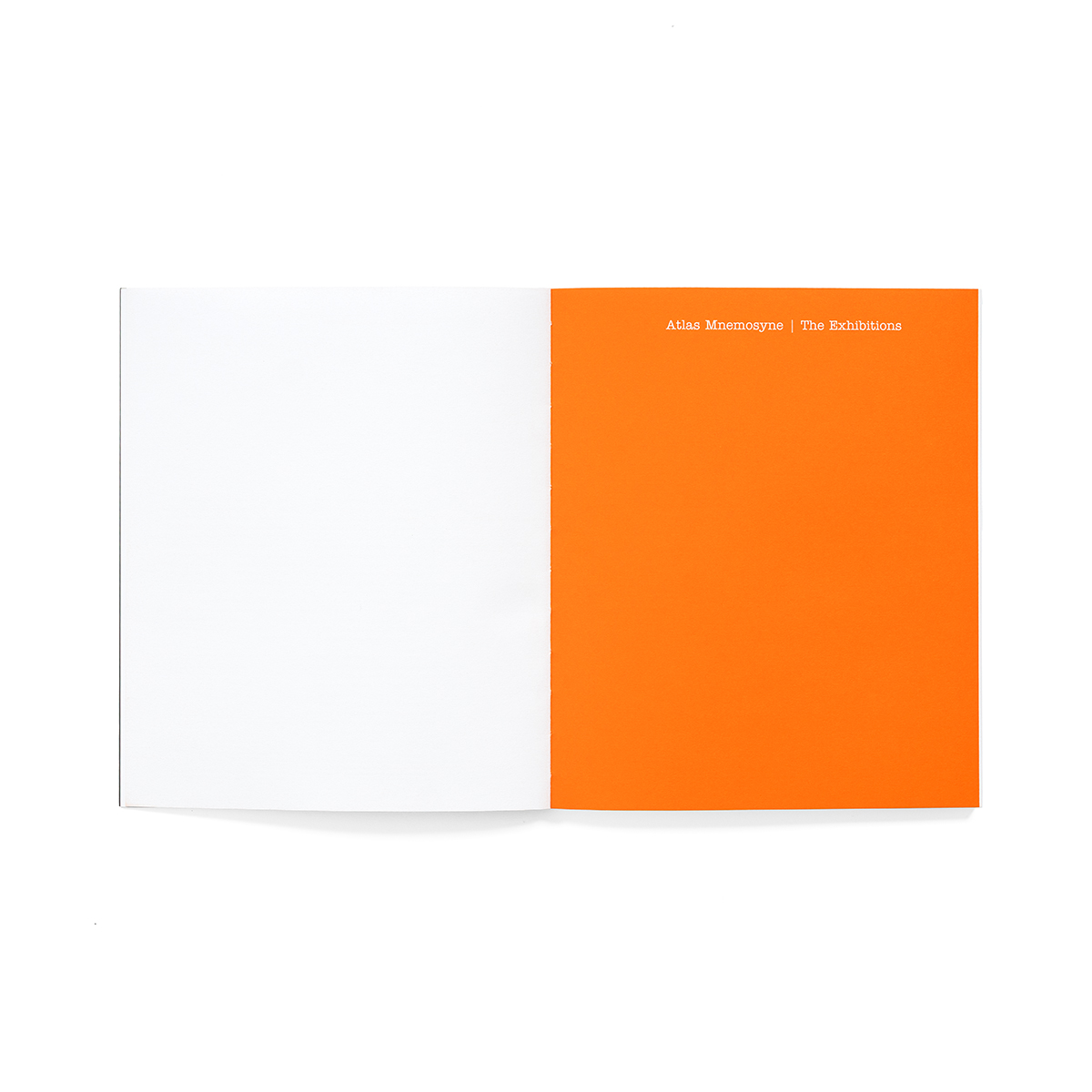 Mnemosine_fondobianco_04