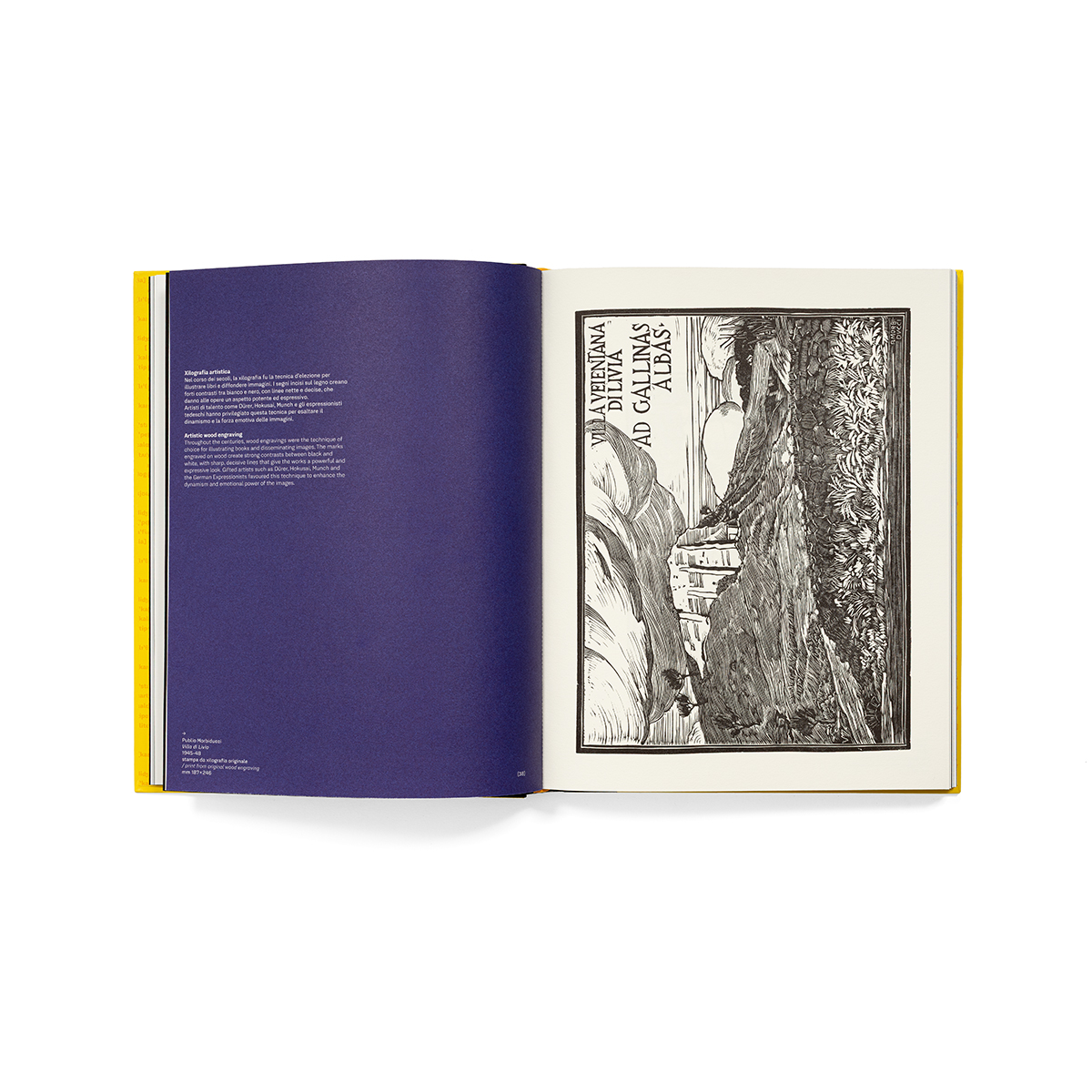 Imprinting_fondobianco_09