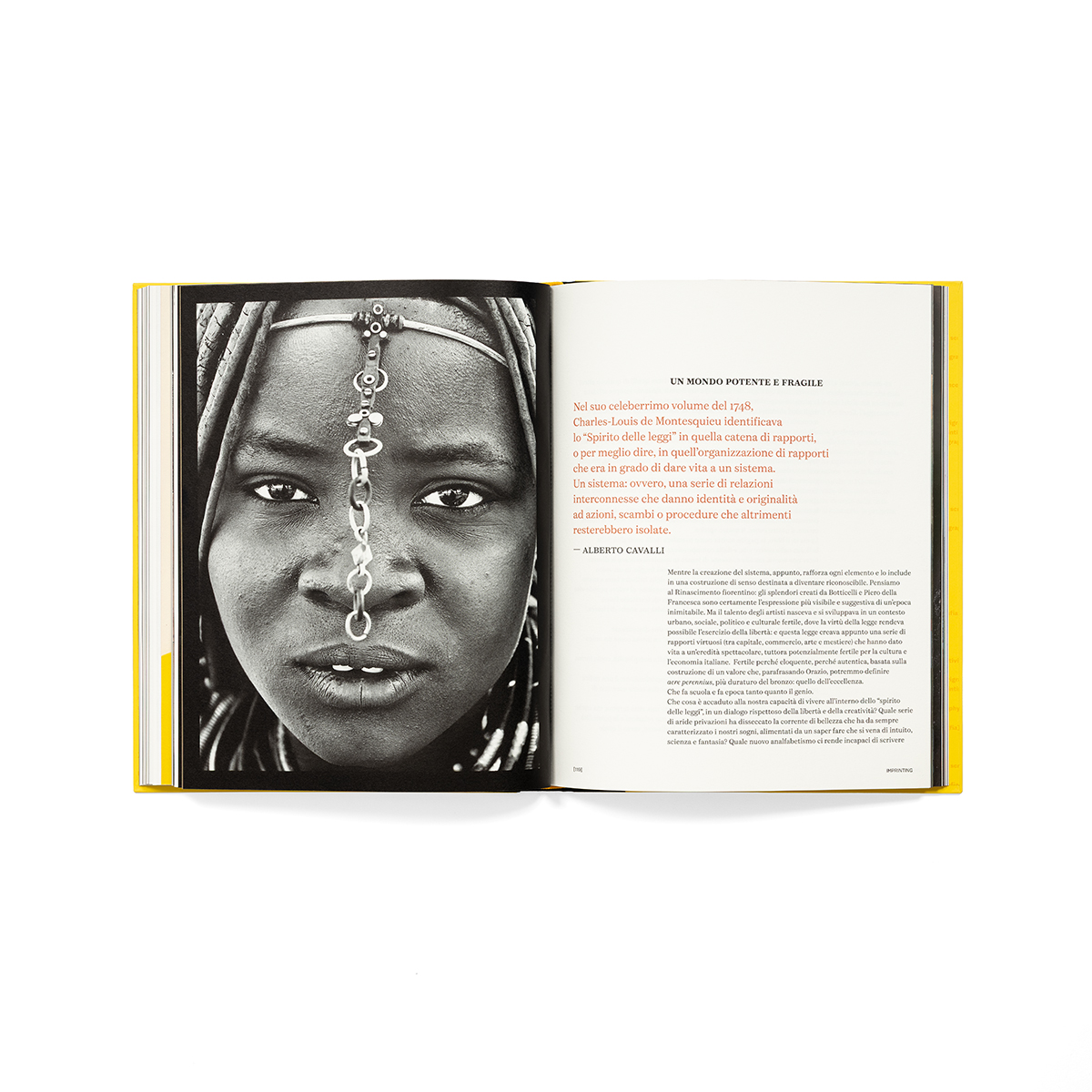 Imprinting_fondobianco_27