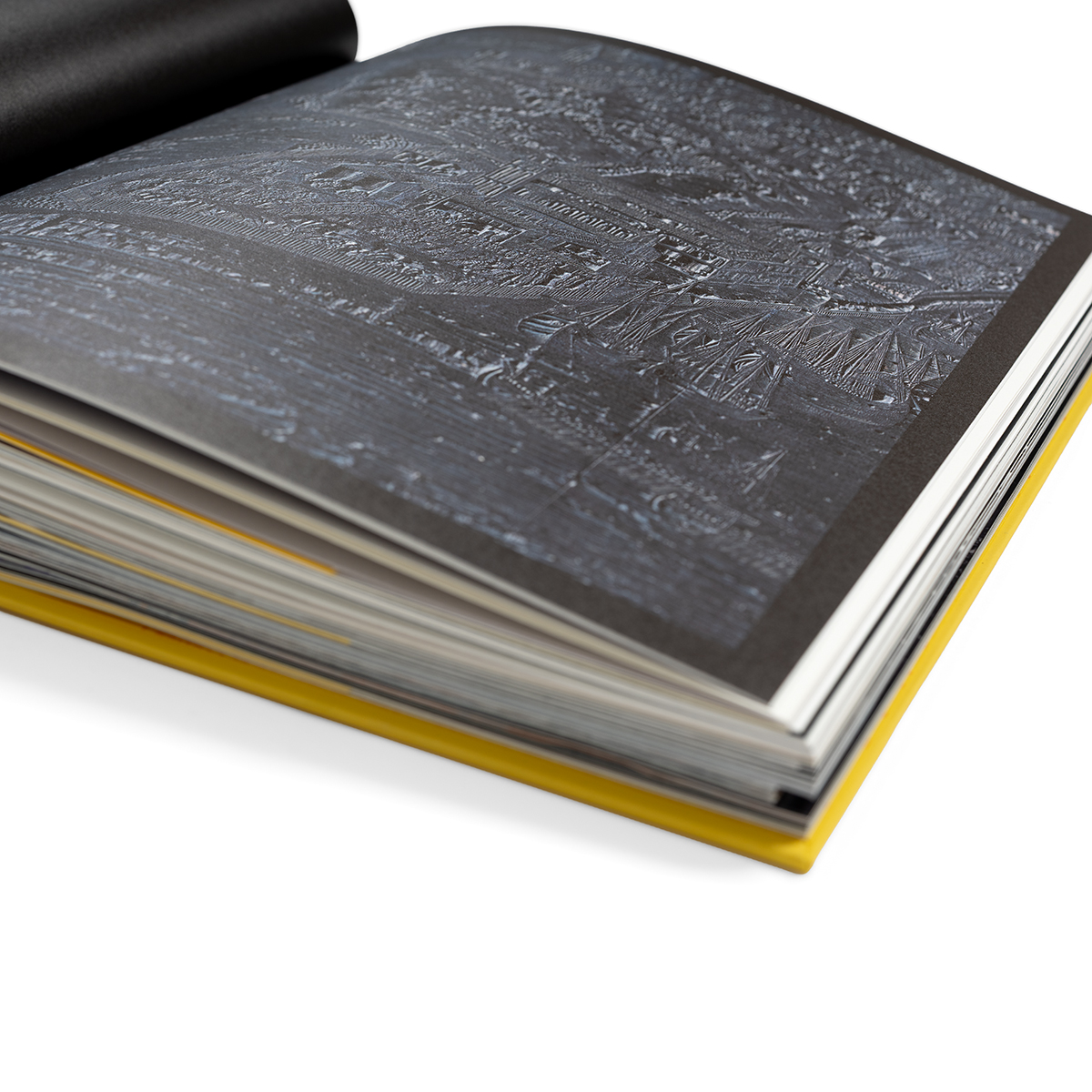 Imprinting_fondobianco_33