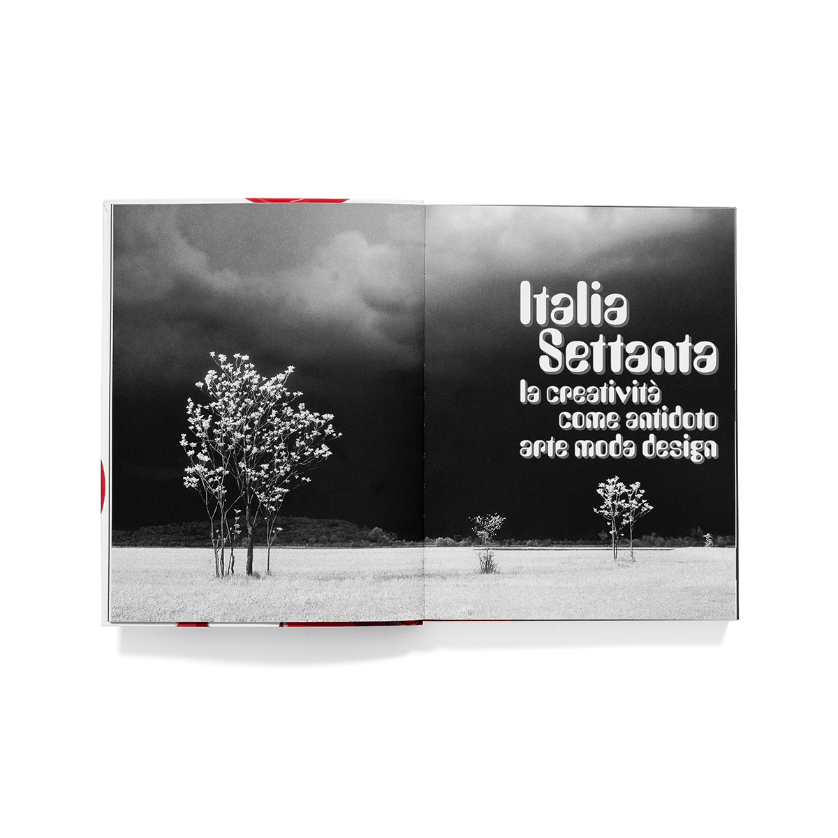 Italiasettanta_fondobianco_02